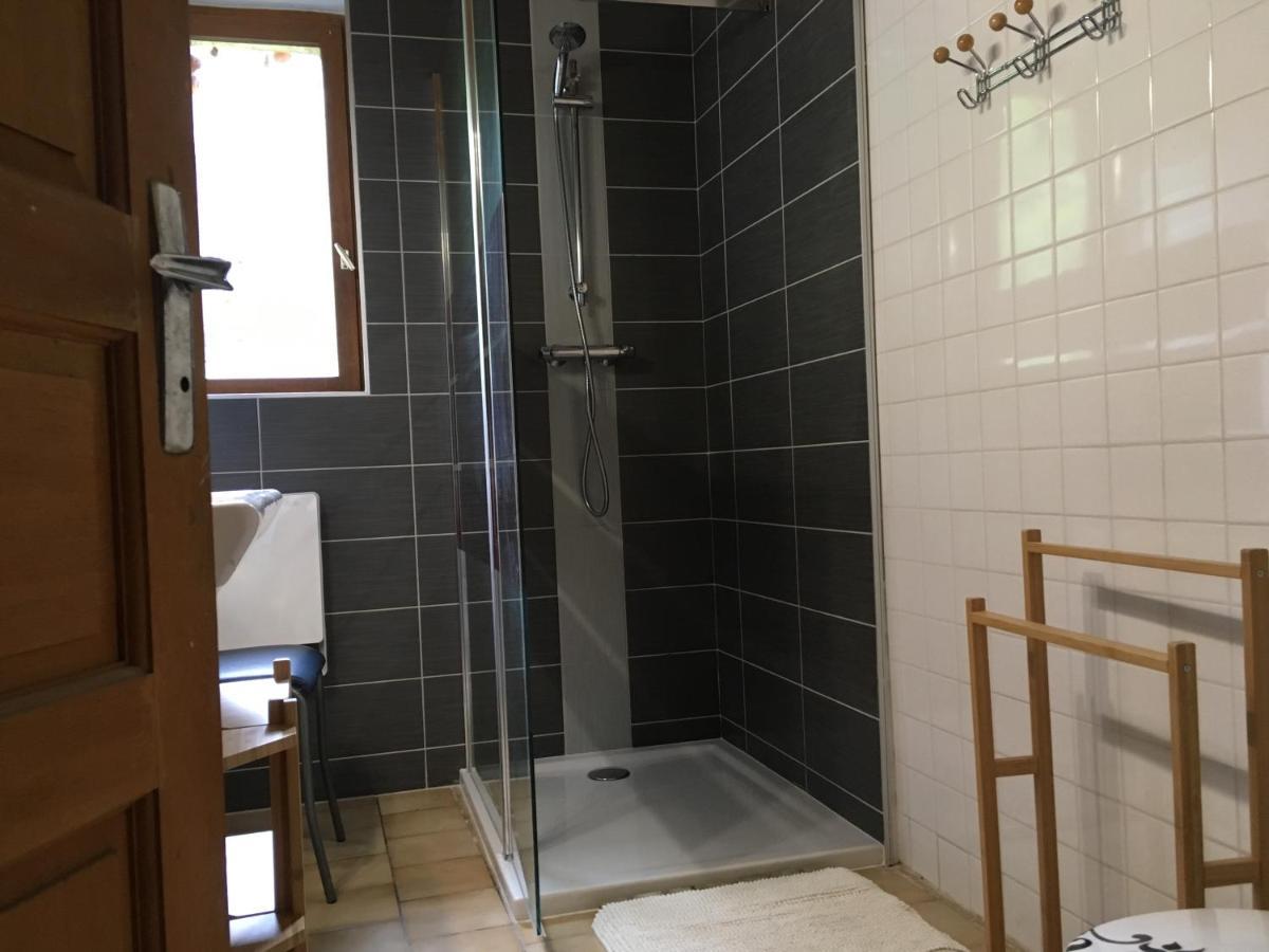 הוילה Camous Les Marmottes Pour 12 Avec Bain Nordique Privatif מראה חיצוני תמונה